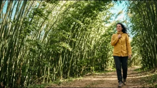 Mulher caminha sorrindo por uma trilha entre bambus que se curvam com o vento, imagem da resiliência emocional de quem enverga sem quebrar.